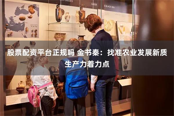 股票配资平台正规吗 金书秦：找准农业发展新质生产力着力点