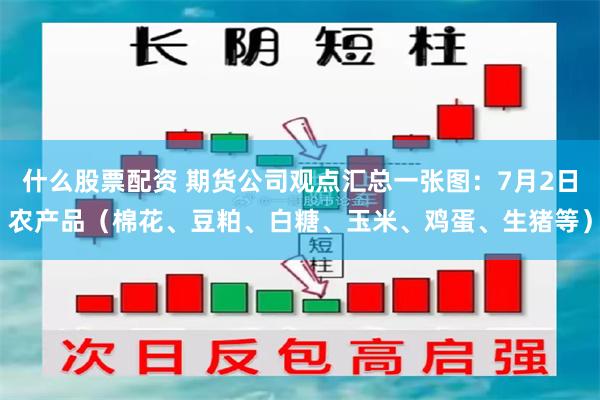 什么股票配资 期货公司观点汇总一张图：7月2日农产品（棉花、豆粕、白糖、玉米、鸡蛋、生猪等）