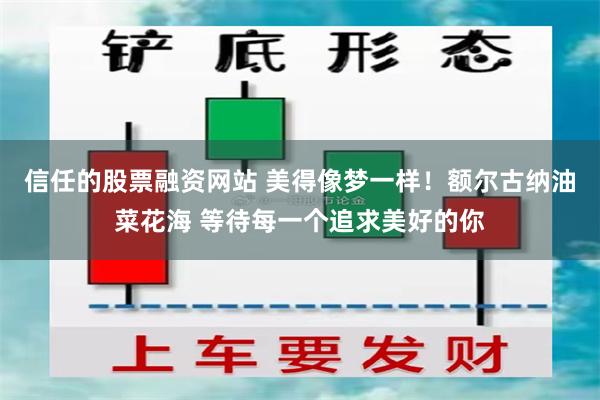 信任的股票融资网站 美得像梦一样！额尔古纳油菜花海 等待每一个追求美好的你