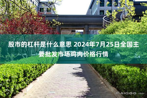 股市的杠杆是什么意思 2024年7月25日全国主要批发市场鸡肉价格行情