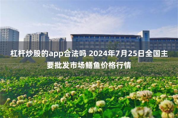 杠杆炒股的app合法吗 2024年7月25日全国主要批发市场鳝鱼价格行情