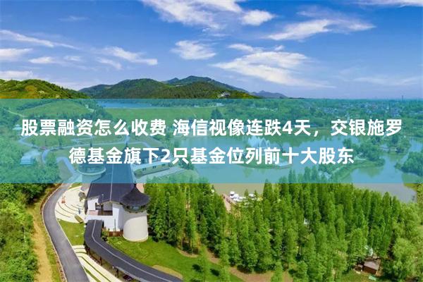 股票融资怎么收费 海信视像连跌4天，交银施罗德基金旗下2只基金位列前十大股东