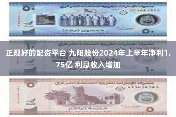 正规好的配资平台 九阳股份2024年上半年净利1.75亿 利息收入增加