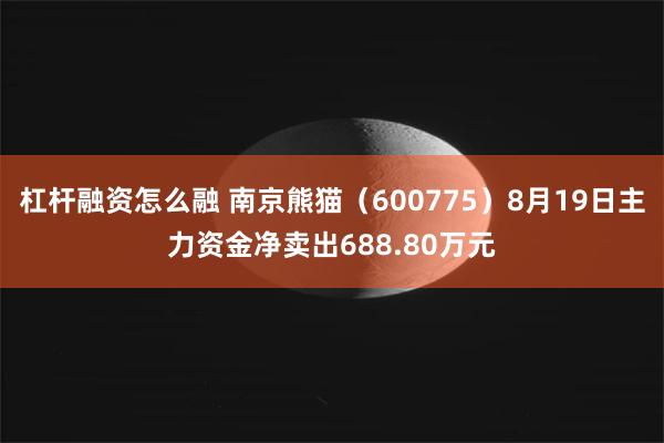 杠杆融资怎么融 南京熊猫（600775）8月19日主力资金净卖出688.80万元