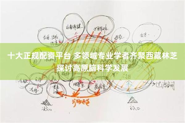 十大正规配资平台 多领域专业学者齐聚西藏林芝探讨高原脑科学发展