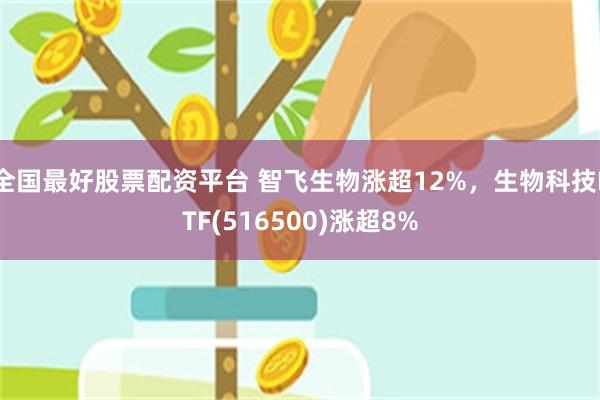 全国最好股票配资平台 智飞生物涨超12%，生物科技ETF(516500)涨超8%