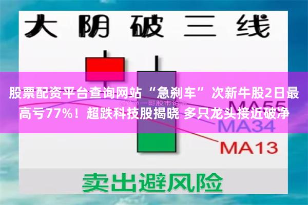 股票配资平台查询网站 “急刹车” 次新牛股2日最高亏77%！超跌科技股揭晓 多只龙头接近破净