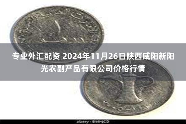 专业外汇配资 2024年11月26日陕西咸阳新阳光农副产品有限公司价格行情