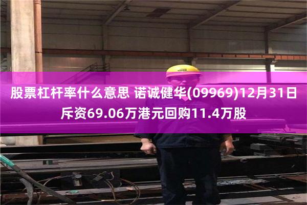 股票杠杆率什么意思 诺诚健华(09969)12月31日斥资69.06万港元回购11.4万股