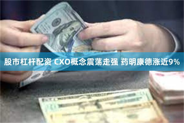 股市杠杆配资 CXO概念震荡走强 药明康德涨近9%