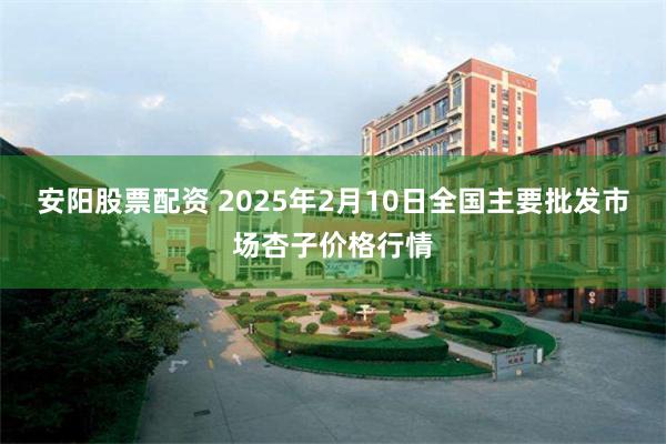 安阳股票配资 2025年2月10日全国主要批发市场杏子价格行情